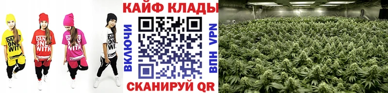 Продажа наркотиков Волоколамск COCAIN  Амфетамин  ГАШИШ  Псилоцибиновые грибы  Мефедрон 