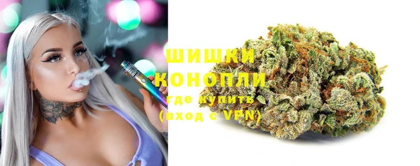 дживик Долгопрудный