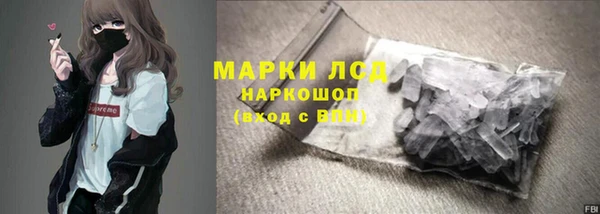 индика Березники