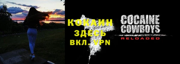 индика Березники