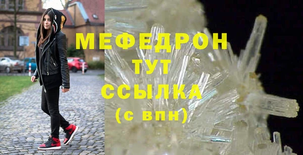 индика Березники
