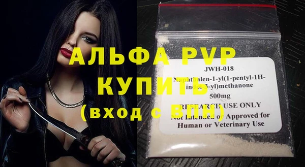 индика Березники