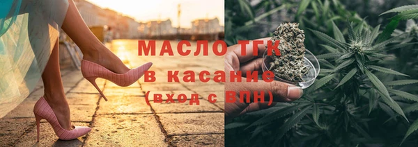 индика Березники