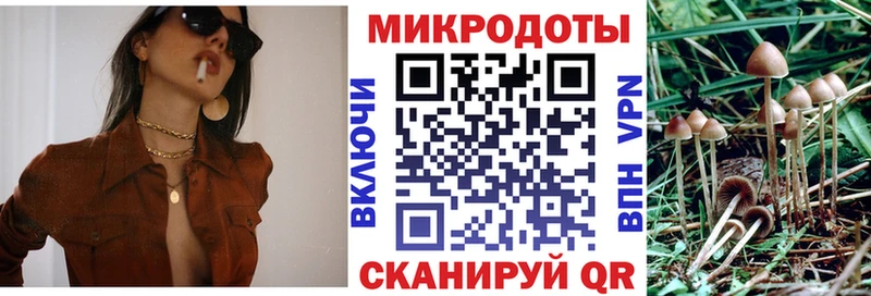 Псилоцибиновые грибы GOLDEN TEACHER  Волоколамск 