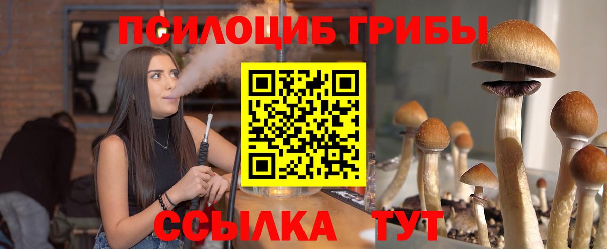 Псилоцибиновые грибы Psilocybine cubensis Волоколамск