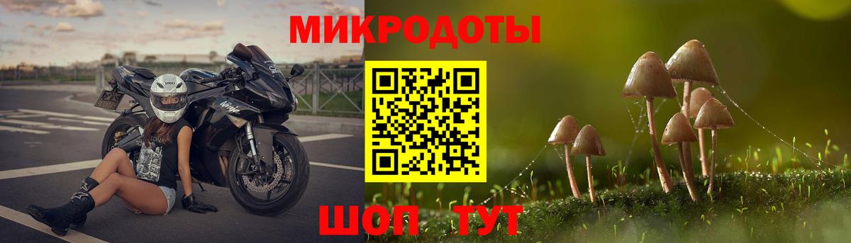 Псилоцибиновые грибы Cubensis  Волоколамск  Галлюциногенные грибы Magic Shrooms 